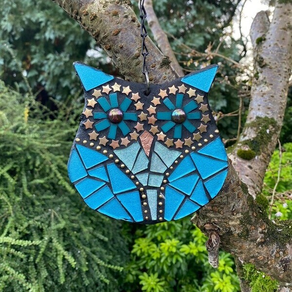 NM Blue Owl